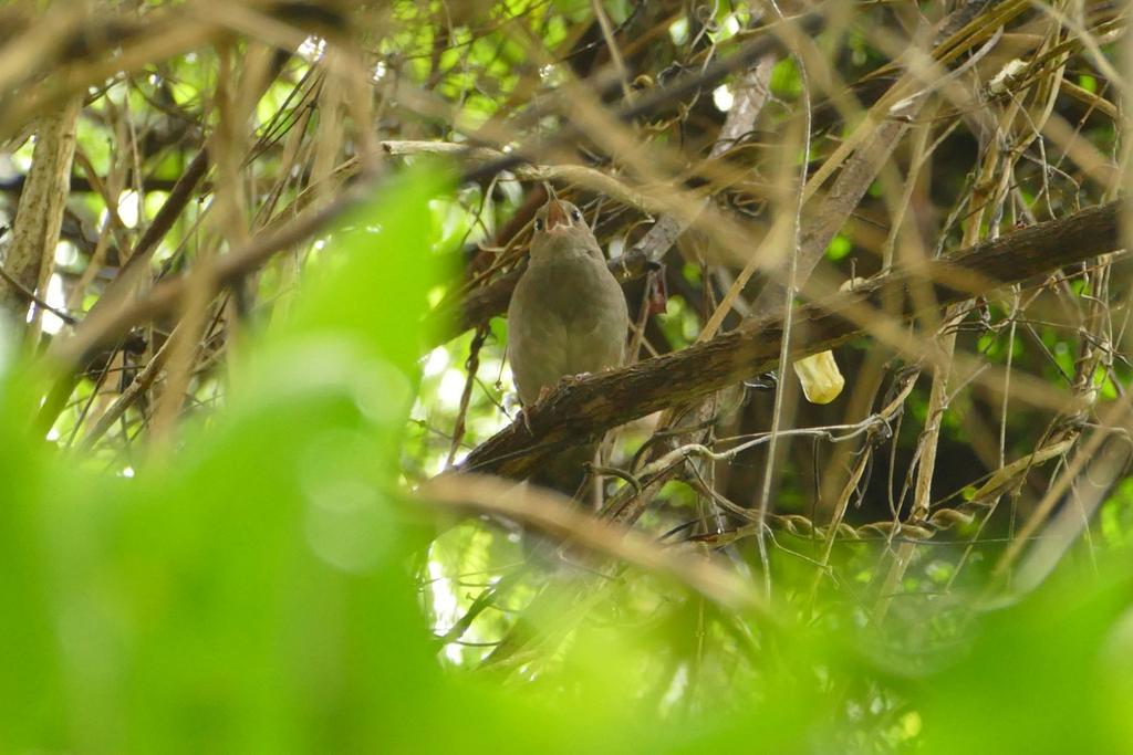 Kingfisher Country House Wilderness Bagian luar foto