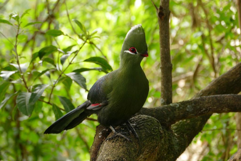 Kingfisher Country House Wilderness Bagian luar foto
