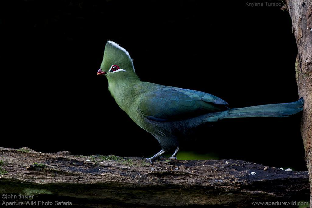 Kingfisher Country House Wilderness Bagian luar foto