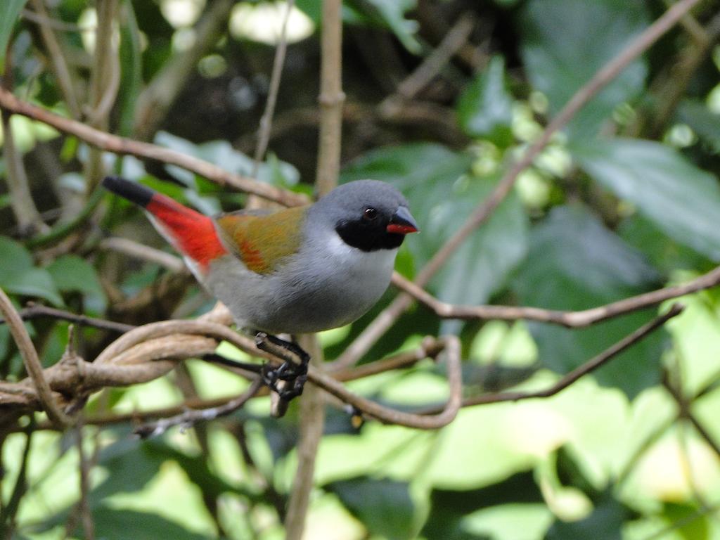 Kingfisher Country House Wilderness Bagian luar foto