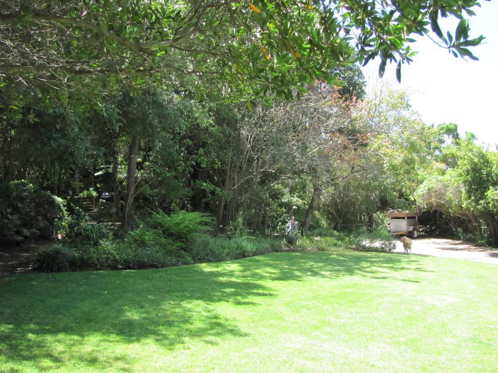 Kingfisher Country House Wilderness Bagian luar foto