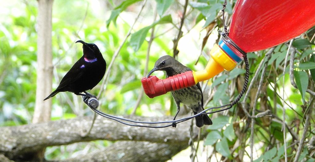 Kingfisher Country House Wilderness Bagian luar foto
